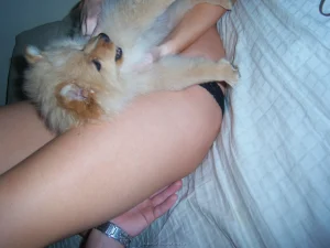 62-alison-loves-to-show-her-boobs