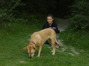 21-chick-in-forest-getting-nude