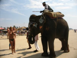 63-gf-adores-water-scooter