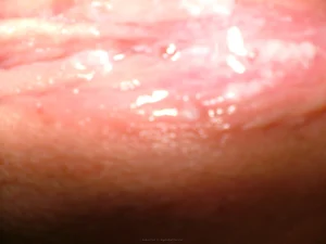 23-gfs-show-their-pussy