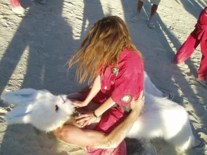 11-i-like-this-party