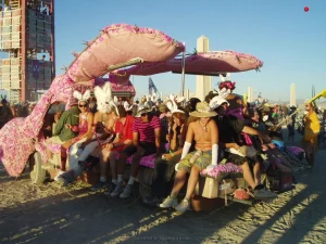 12-i-like-this-party