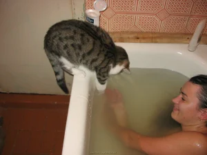 22-my-hairy-pussy-babe-in-bath