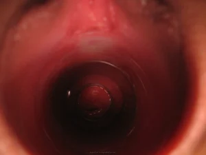 42-my-wife-adores-sex