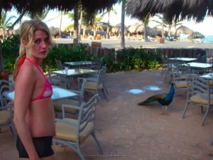 67-topless-chick-on-the-beach-shows-herself