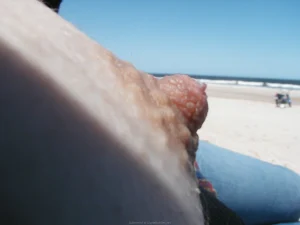 Gf shows her hairy pussy